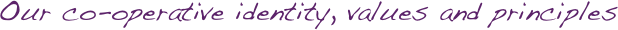  Our co-operative identity, values and principles